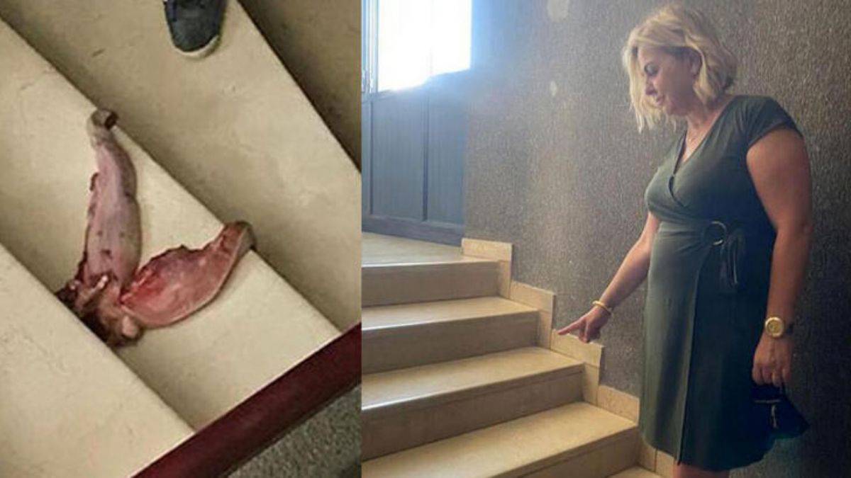 Prof. Şenol'u 'dana dili' ile tehdit eden sanığa 5 yıl 6 ay hapis