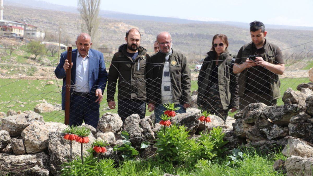 Yılda sadece 20 gün açıyor; 'ağlayan gelin' için seferber oldular