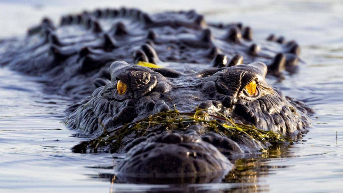 Gözlerine parmaklarını sokarak kurtulmuş!