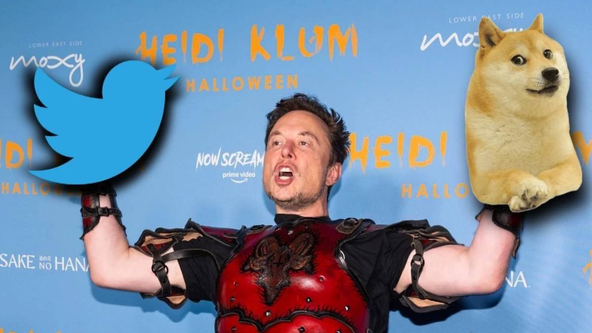 Twitter yeniden kuş oldu! Doge çakıldı, kuş uçtu!