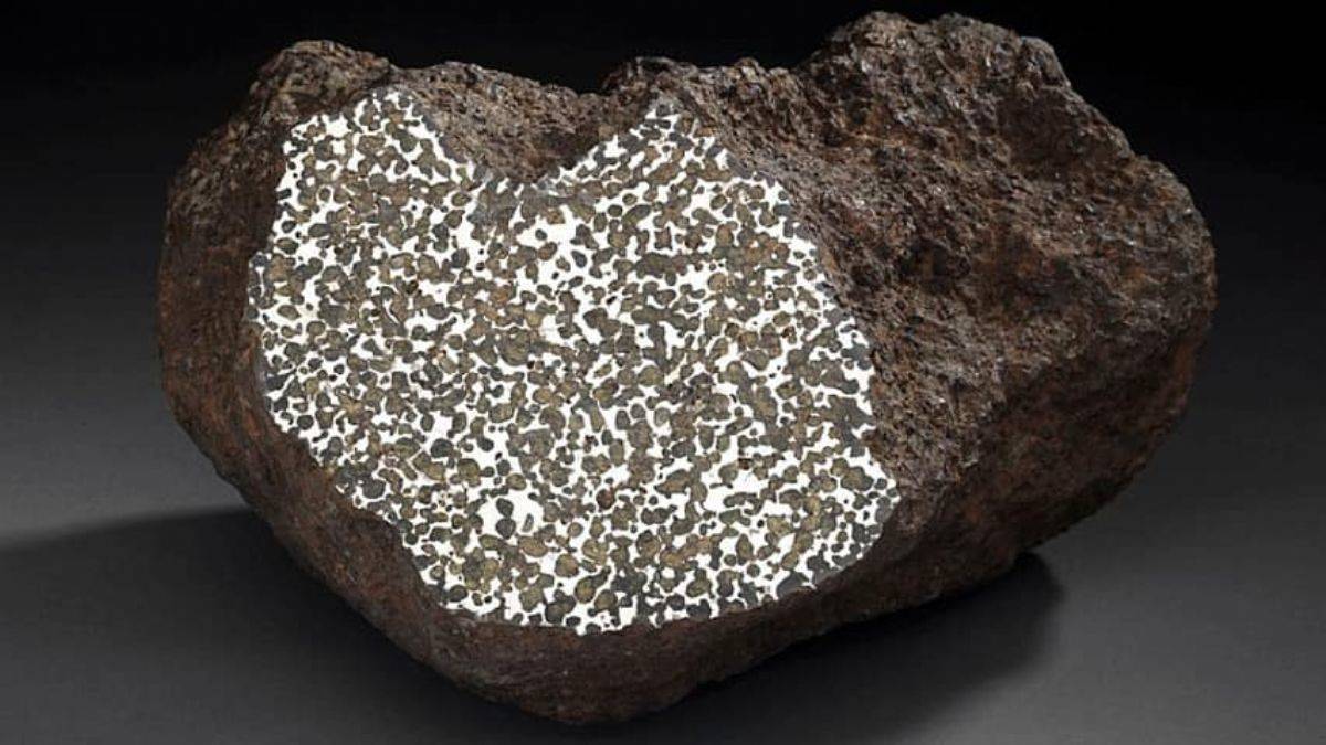 Yeni düşen göktaşını bulana 25 bin dolar ödül