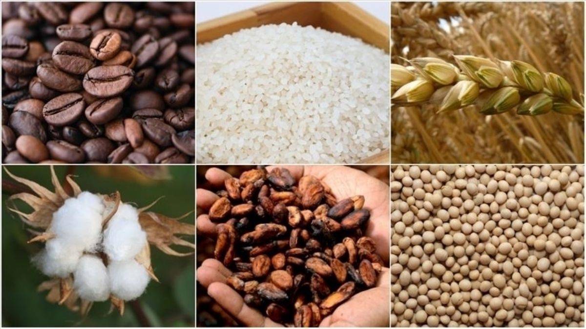 Emtia piyasası: Şeker 11 yılın zirvesinde