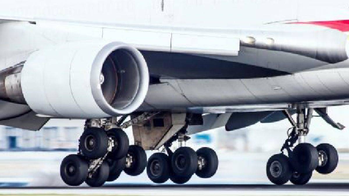 Kanada-Hollanda uçağının iniş takımlarında ceset bulundu