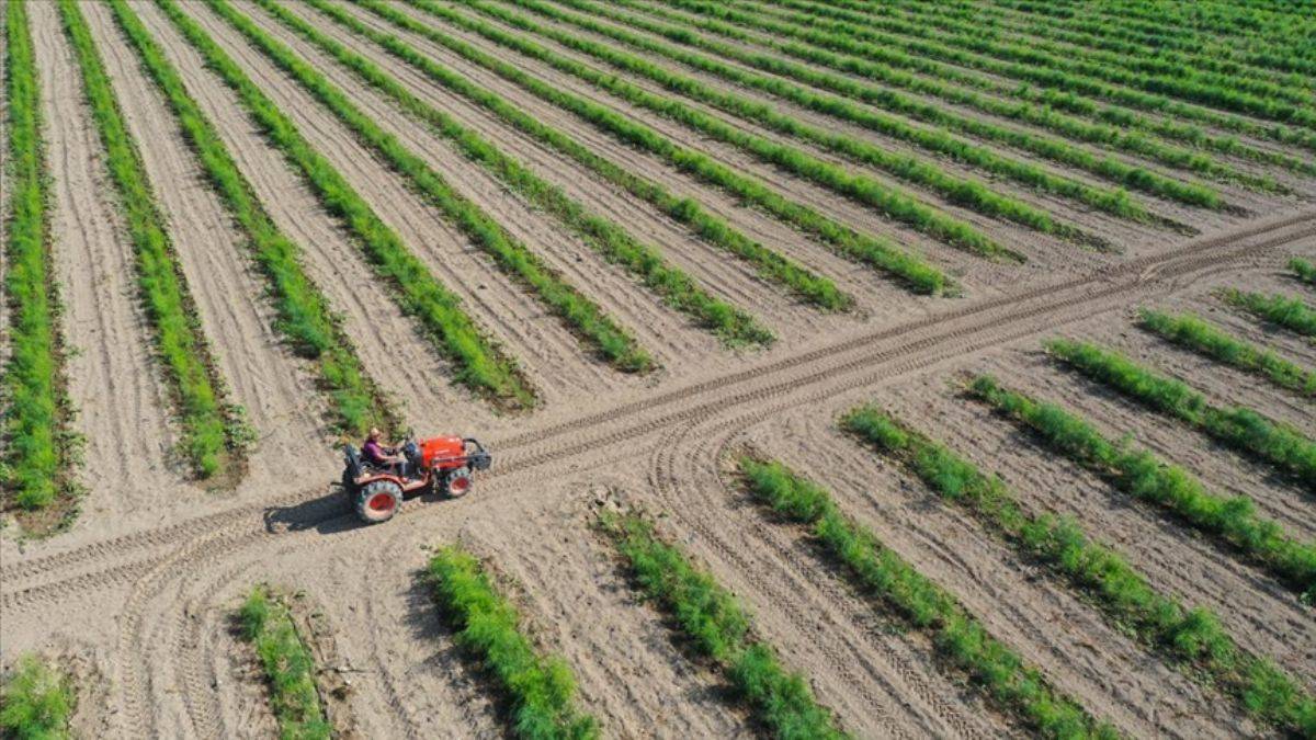 Erdoğan'ın duyurduğu tarım projelerinin detayları