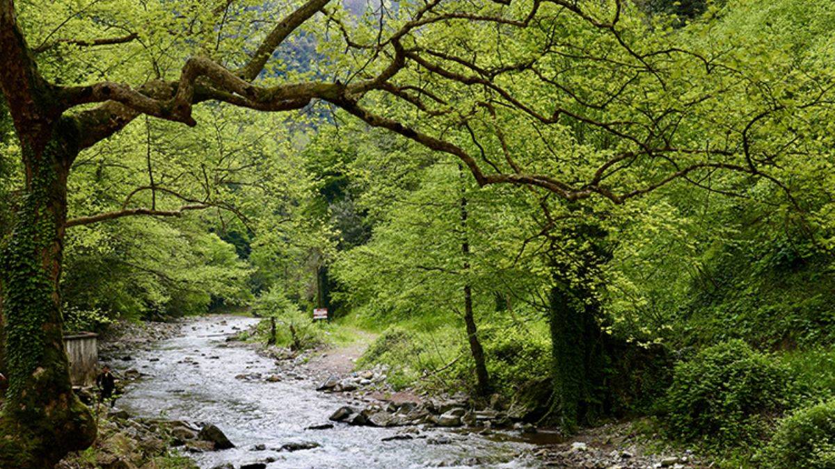 Maden Deresi ilkbahar ile coştu