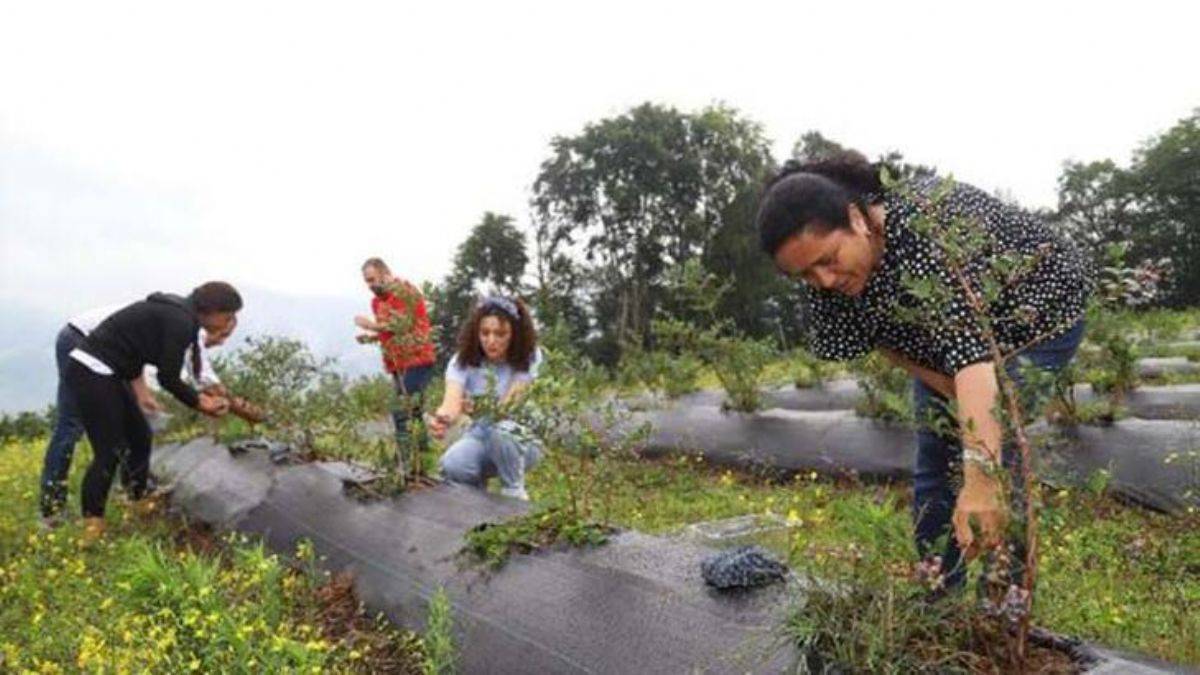 Bakanlıktan, ortakların çoğunluğu kadın olan kooperatiflere pozitif ayrımcılık