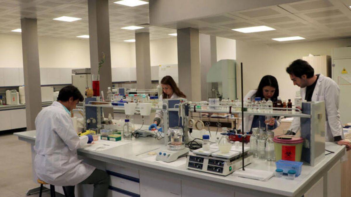 Sığır aort damarından 3D yazıcıyla doğal insan aort damarı