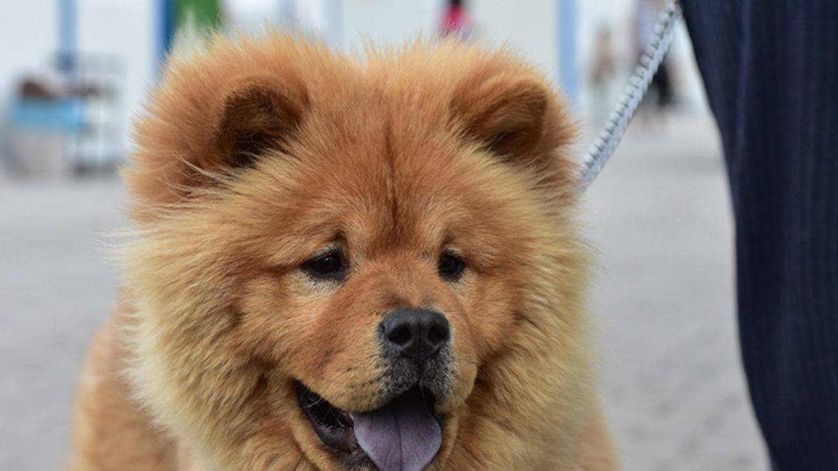 Depremden 2 dakika önce aileyi kurtardı