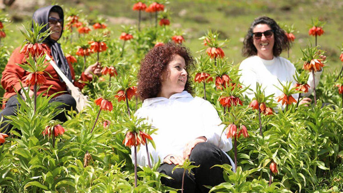 Muş'un zirveleri ters lalelerle renklendi