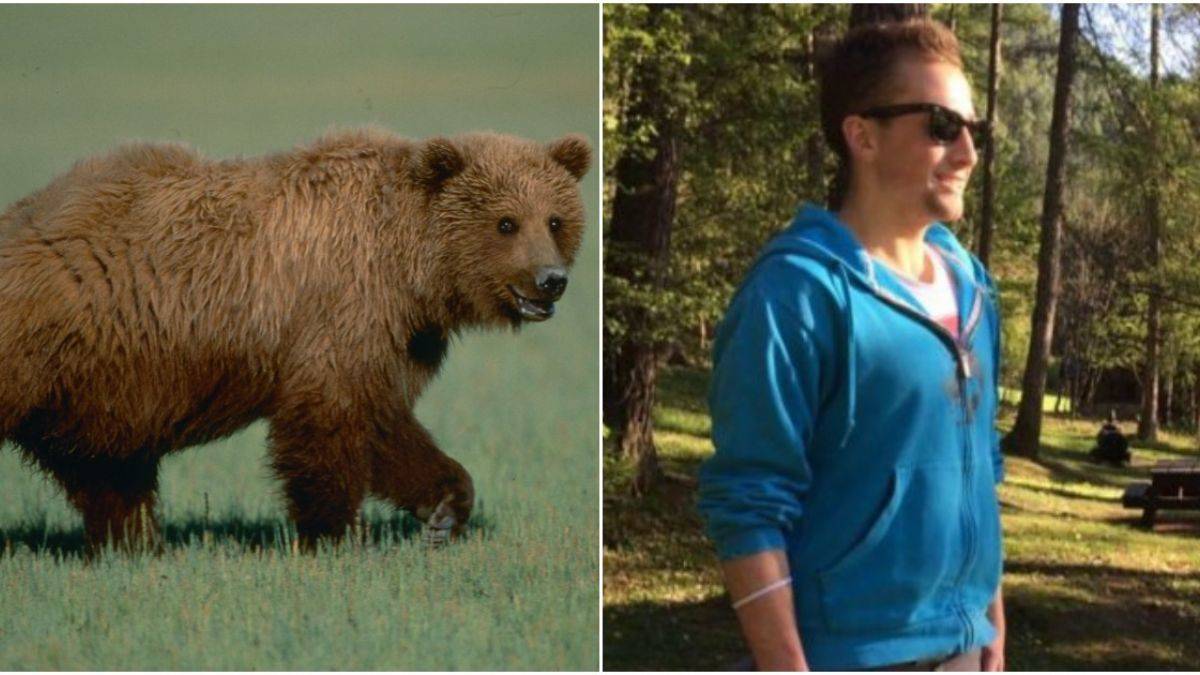 Bir kişiyi öldüren ayıya idam cezası istendi