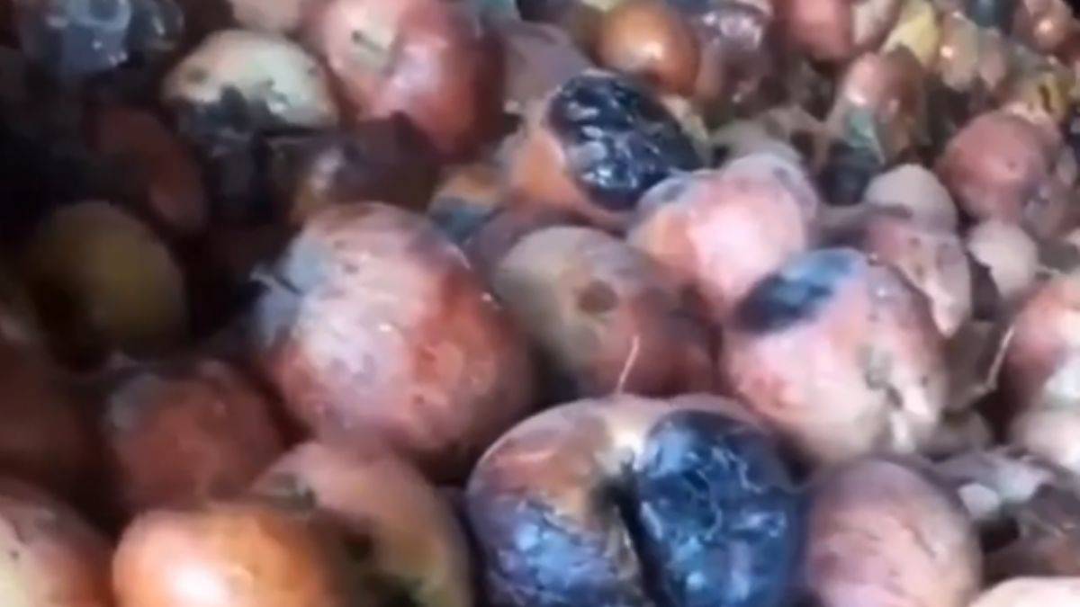 Hazır meyve suları; içerken düşünün'