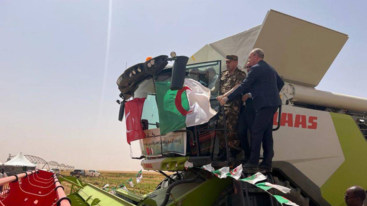 Cezayir'de ilk! Çölde tarım yapan Türk şirketinden ilk hasat