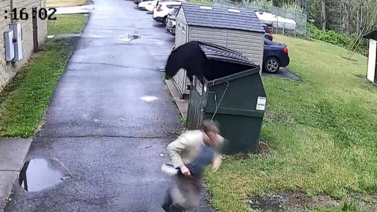 Ayı ondan, o da ayıdan kaçınca şaşırıp güldü