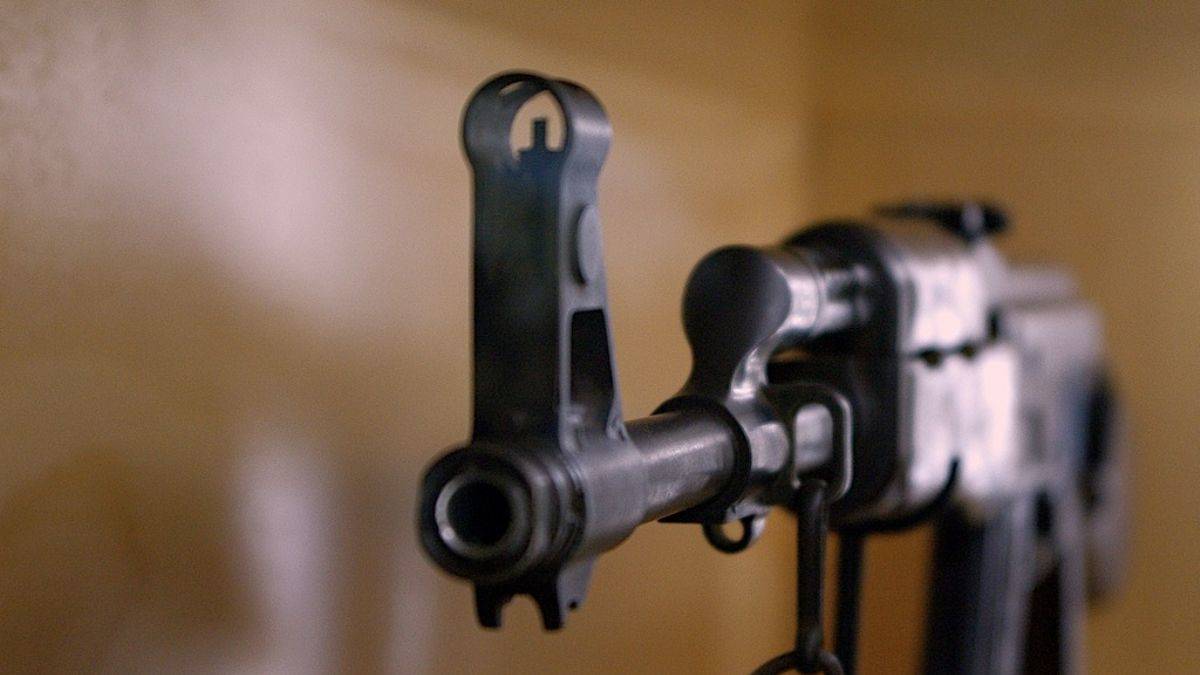 Sırbistan'dan 'yasa dışı silah' açıklaması