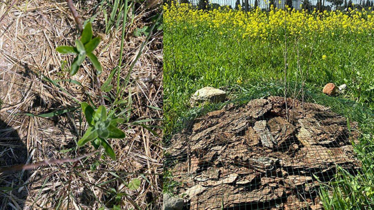 Enerji güneşten, su üretimi havadan