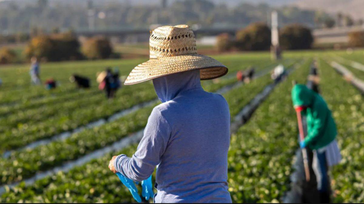 ABD'de Çinlilere toprak satışı yasağı