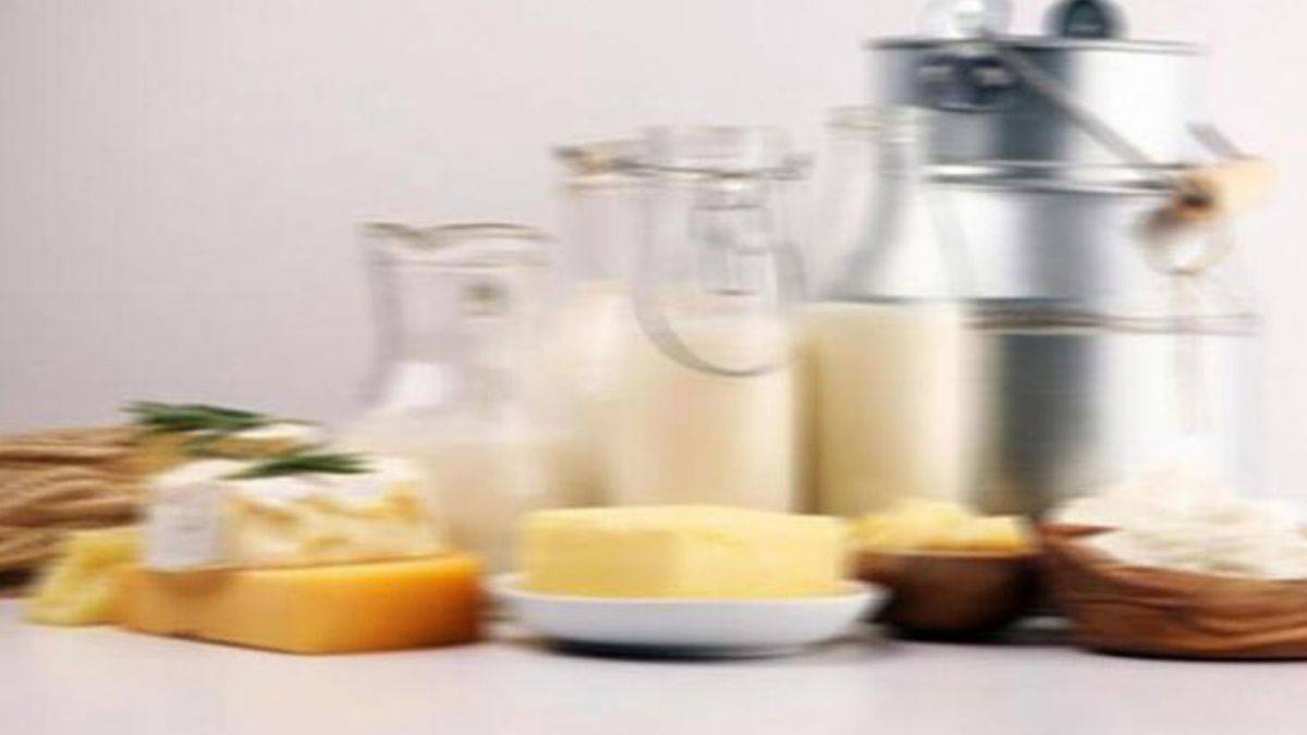 TÜİK: Martta yumurta ve içme sütü üretimi arttı, tavuk eti üretimi azaldı