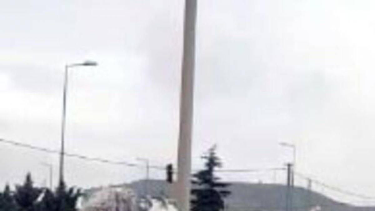 Nevşehir'de maket atları gören at, şaha kalktı