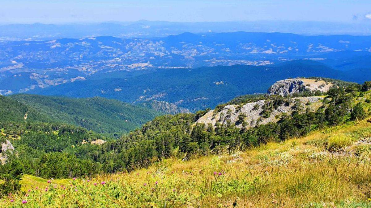 Lavanta bahçeleri içinde eşsiz bir tatil keyfi