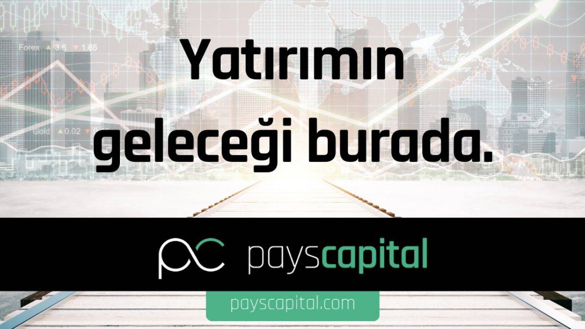 Pays Capital FX İnceleme | Güvenilir Forex Şirketi