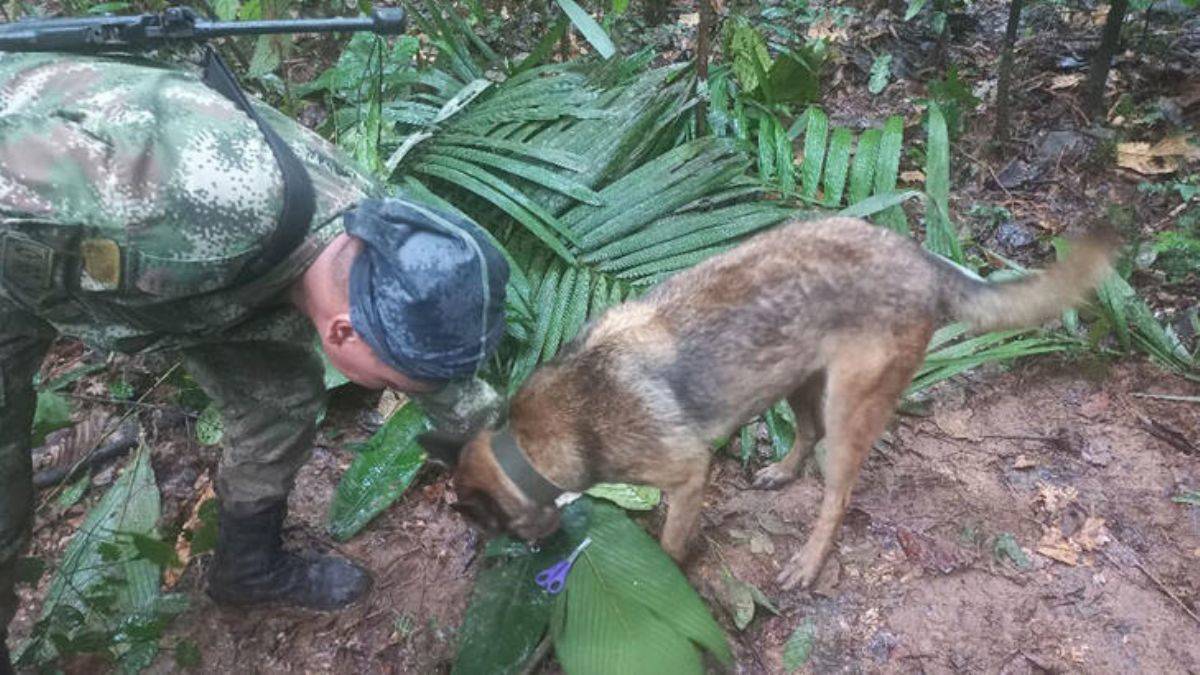 Tüm ülke sevindi; düşen uçaktan sağ kurtulan çocuklar 17 gün sonra bulundu