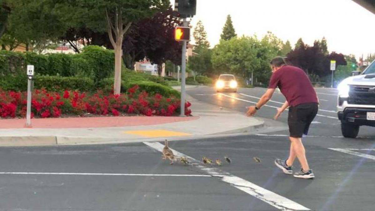 Ördeklere yardım ederken öldü