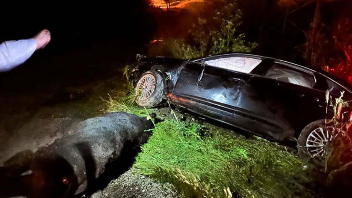 AK Parti'li Yenişehirlioğlu ve oğlu kazada yaralandı