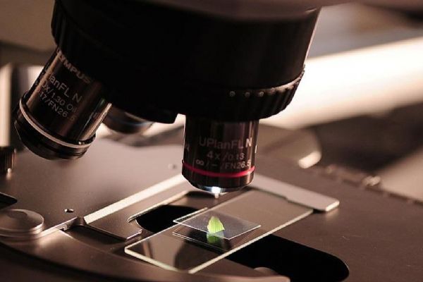 Türkiye bir ilki başardı! Devrim gibi hamlenin temeli 2 yıl önce atıldı