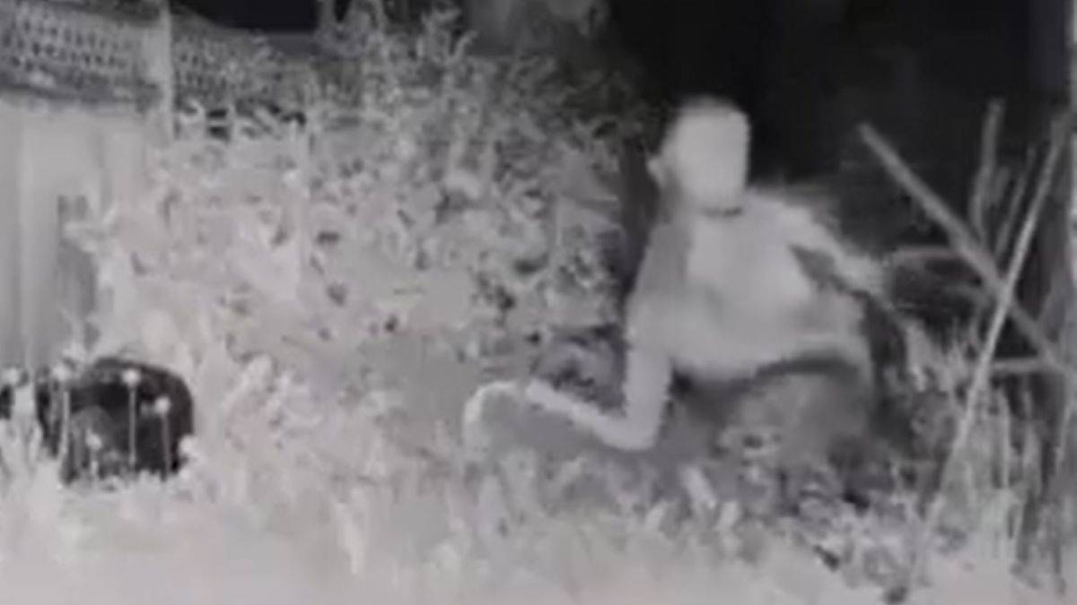 Tüm dünyanın konuştuğu uzaylı gerçek mi