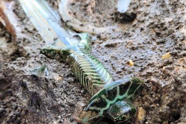 Almanya'daki bir mezarda bulundu! Tam 3 bin yıl öncesine ait