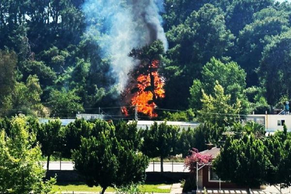Antalya'da orman yangını: Müdahale sürüyor