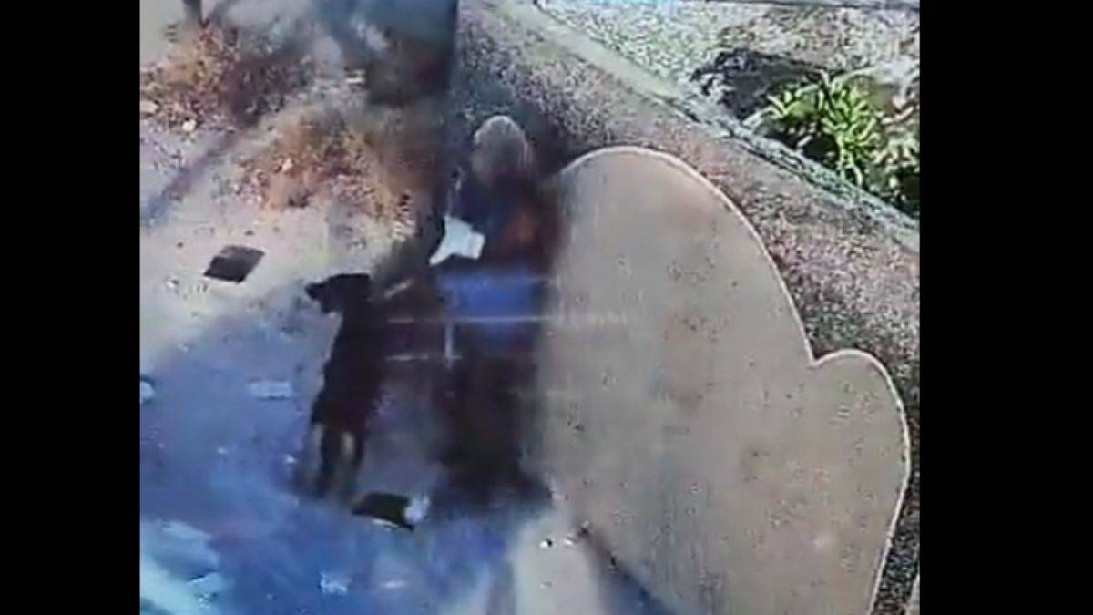 Yahudi yerleşimcilerden Kur'an-ı Kerim'e saldırı