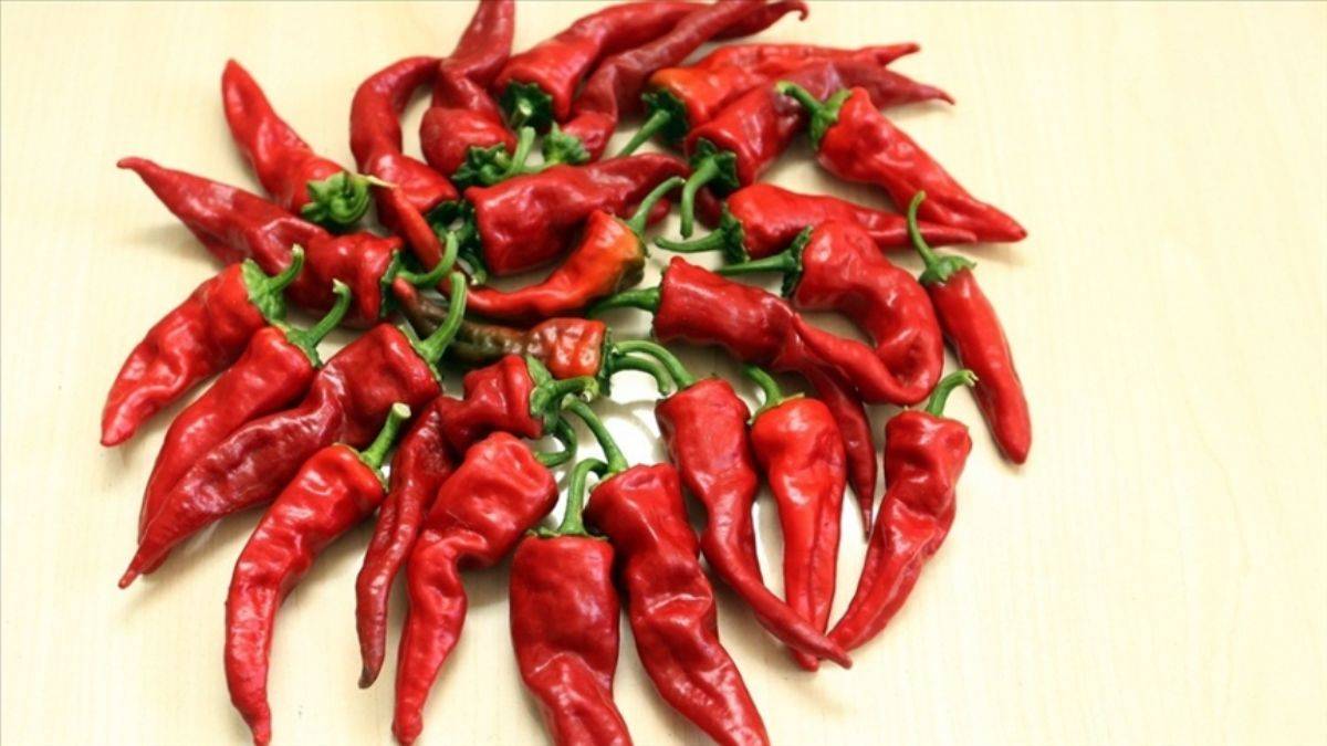 Acı yediğimizde vücudumuza ne oluyor? Sağlıklı mı zararlı mı?