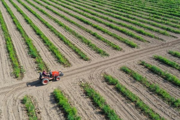 Kırsalı kalkındıracak projelere 1 milyar 222 milyon TL hibe desteği