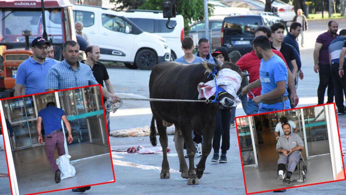 30 bin acemi kasap hastanelere koştu