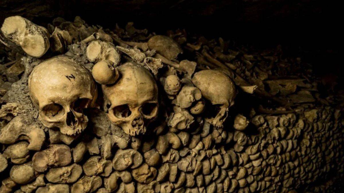 '10 milyon dolar verilse orada kalır mısınız?'