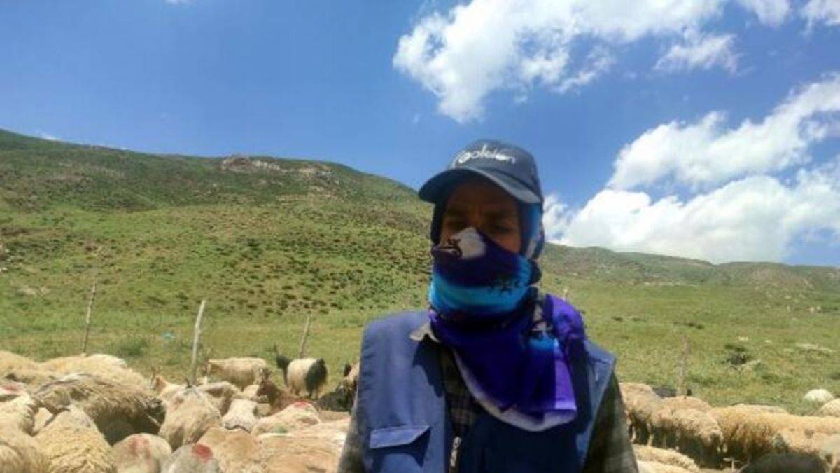 Çoban bulamayınca aylık 20 bin TL'ye İran'dan getirdiler