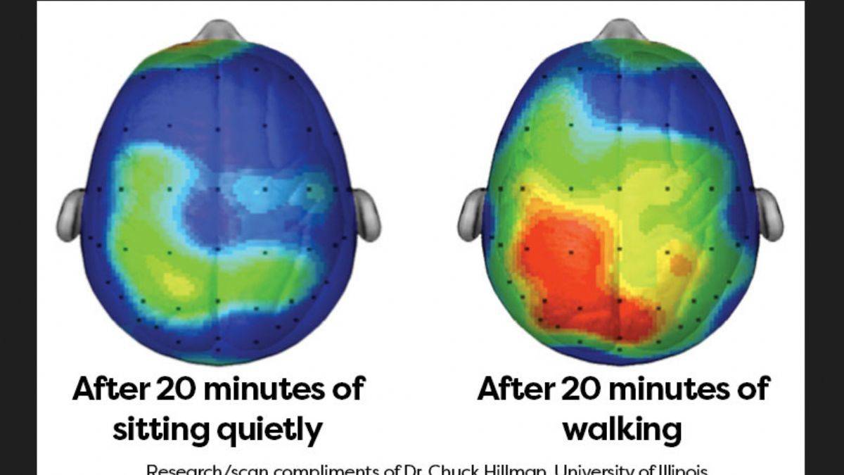 Yürüyenlerin beyni daha iyi çalışıyor