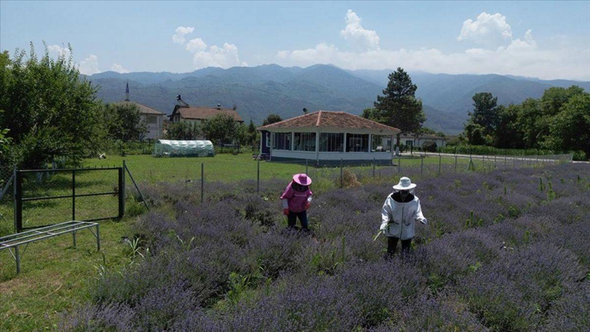 Matematik öğretmeniydi, köye yerleşip çiftçi oldu