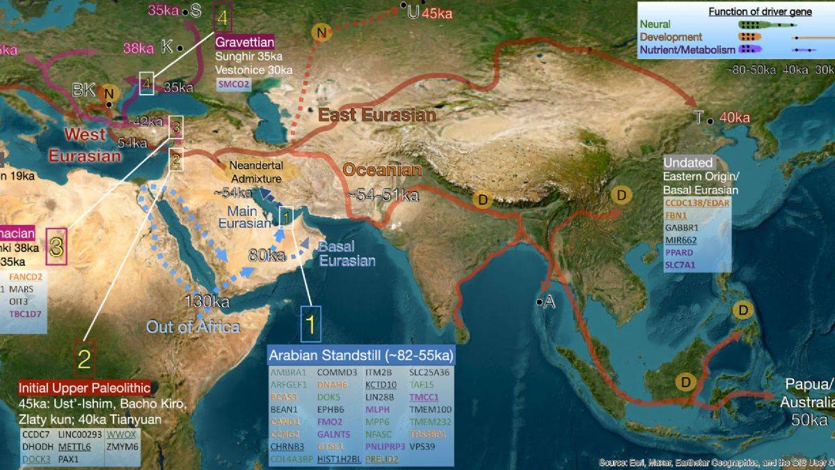 Yeni keşif: İnsanlar dünyaya nasıl yayıldı