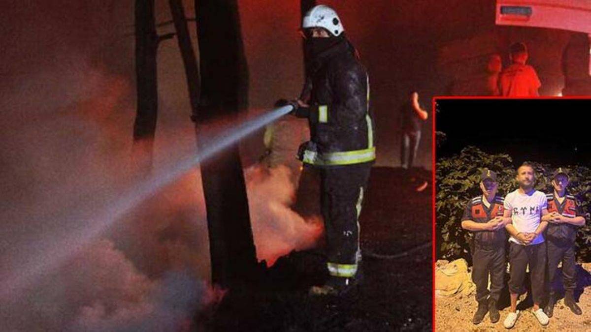 'Canım istediği için ormanı yaktım'