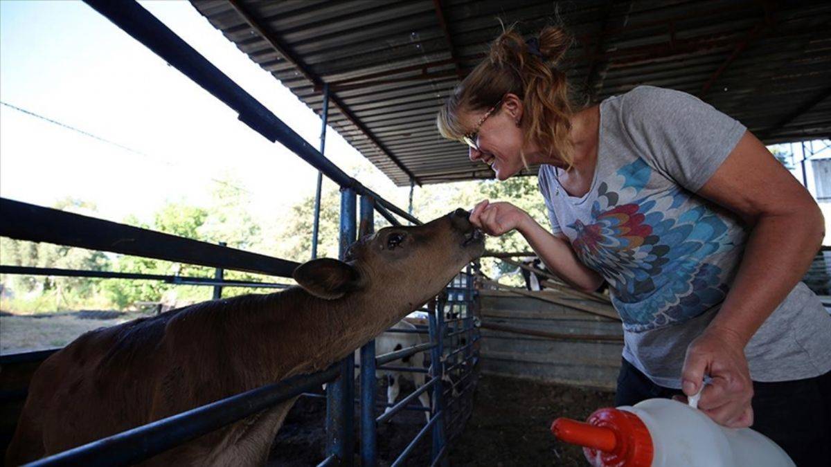 Yazılımcılıktan hayvancılığa; İngiliz gelin Aydın'a yerleşti