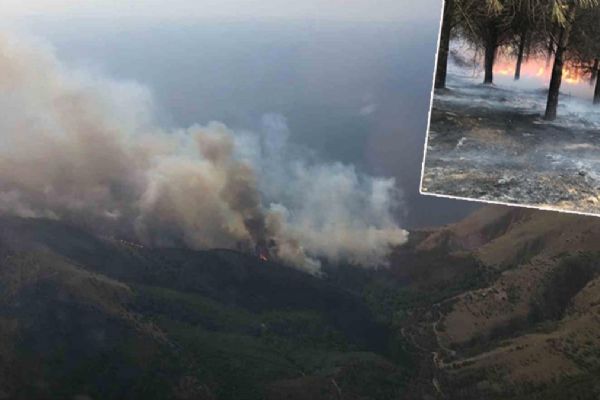 16 saatlik mücadele sonuç verdi! Gökçeada'daki orman yangını kontrol altına alındı