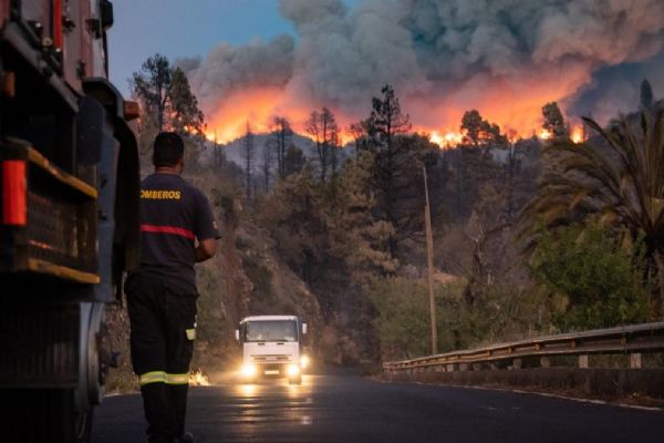 La Palma Adası'nda orman yangını: 4 binden fazla kişi tahliye edildi