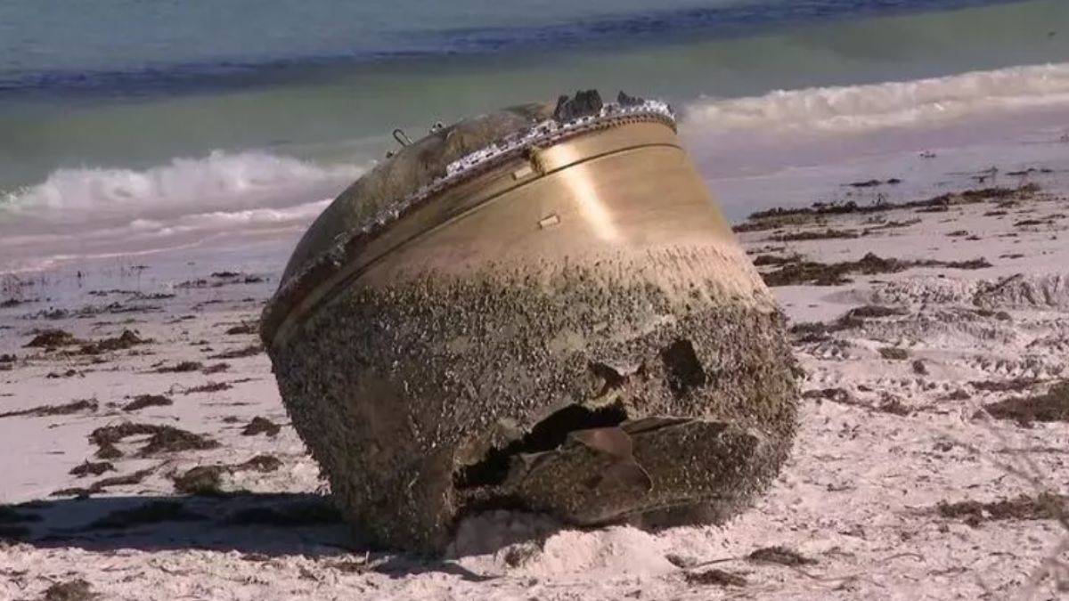 Sahilde bulundu, herkesi şaşırttı