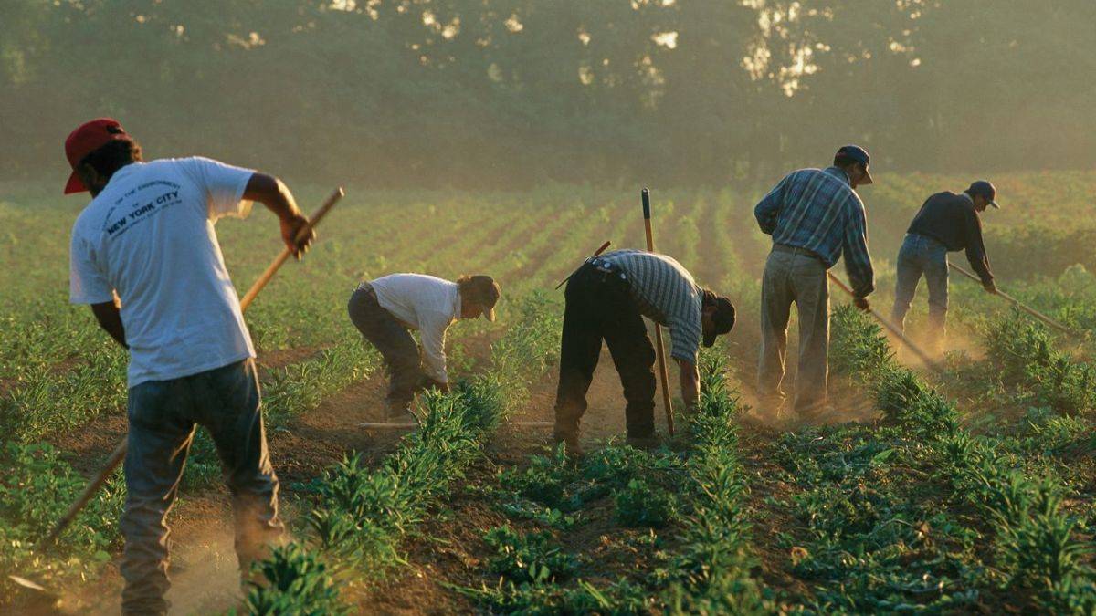 Göçmenler ve sahipsiz kalan işler