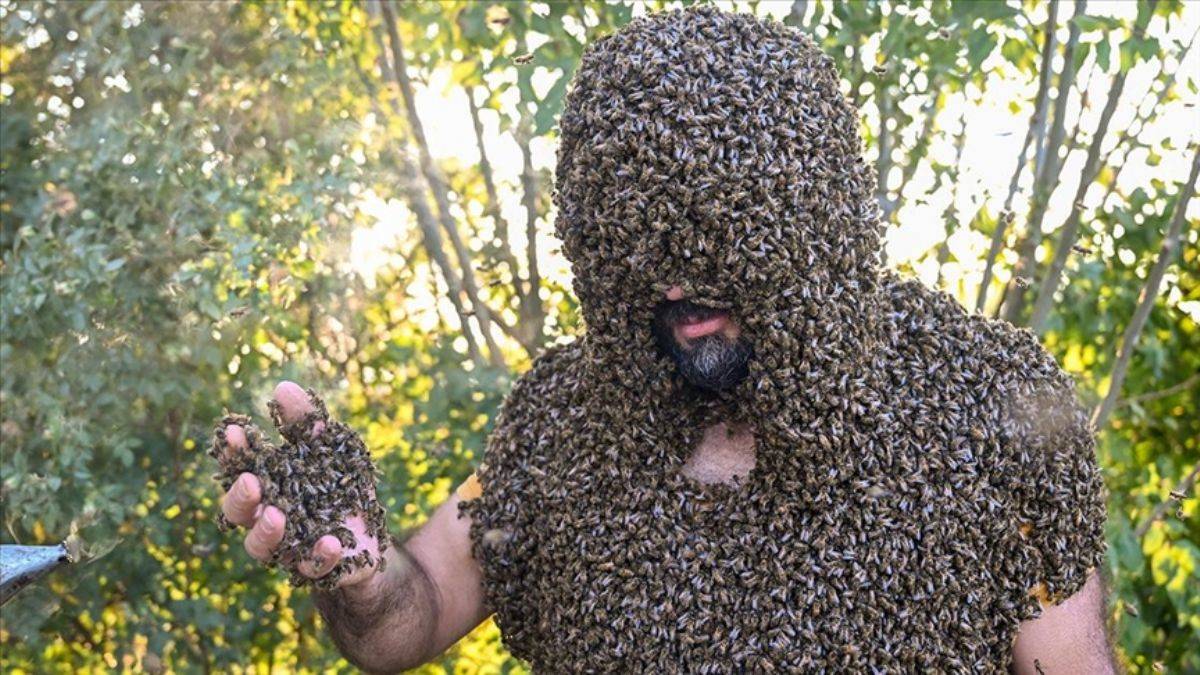 Vanlı 'Arı Adam' dünya rekoru peşinde