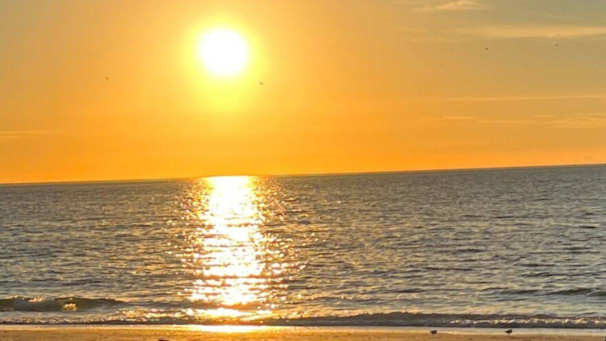 Florida okyanusu jakuzi sıcaklığına ulaştı