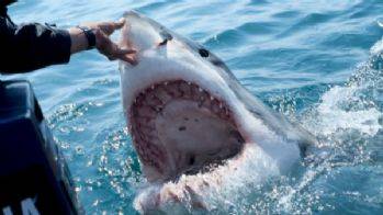 16 yaşındaki kızı köpek balığı parçaladı