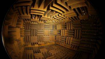 Dünya sessiz bir odada, çünkü içeride kimse sakin değil!